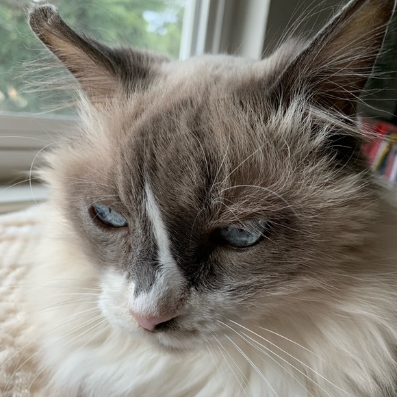 Meet your Posher, Kelli - Picture 1 of 1